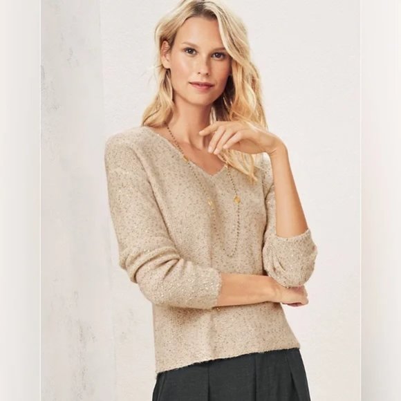 Garnet Hill Wool Alpaca Blend Sequined V-Neck Sweater Size XS - Picture 1 of 9